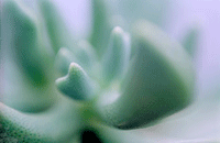 �펪�����@/�����Z�b�g����